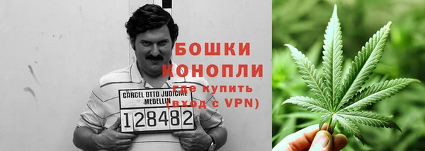 шишки Алзамай