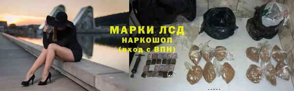 шишки Алзамай