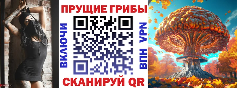 купить наркотик Осташков Псилоцибиновые грибы GOLDEN TEACHER